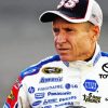 Mark Martin Diamond Painting