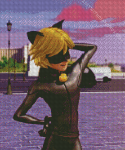 Miraculous Adrien Agreste Cat Noir Diamond Painting