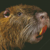 Nutria Diamond Painting