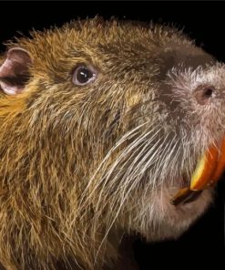 Nutria Diamond Painting