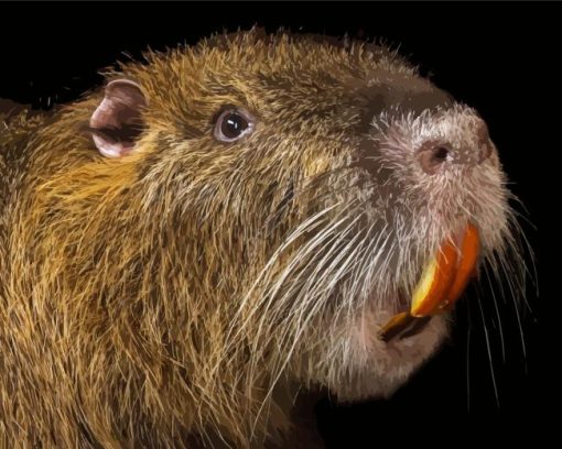 Nutria Diamond Painting