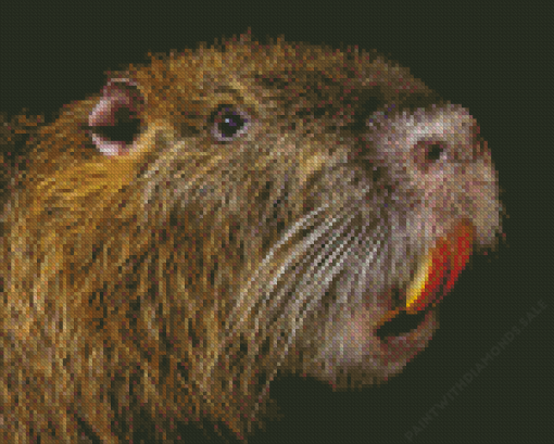 Nutria Diamond Painting