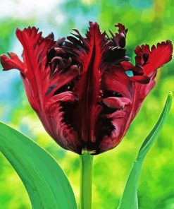Parrot Tulips Diamond Painting