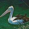 Pelican Bird On Water Diamond Painting