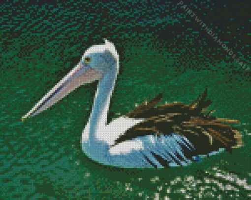 Pelican Bird On Water Diamond Painting