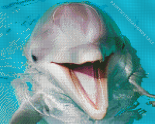 Porpoise Diamond Painting