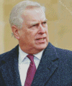 Prince Andrew Diamond Painting