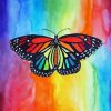 Rainbow Butterfly Diamond Painting