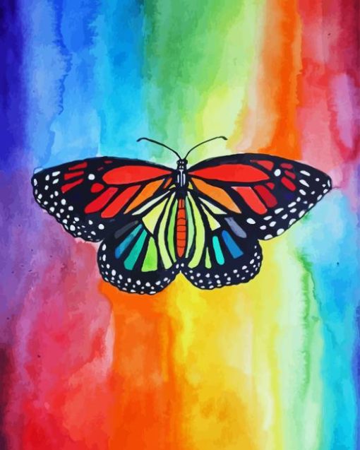 Rainbow Butterfly Diamond Painting