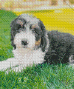 Sheepadoodle Diamond Painting