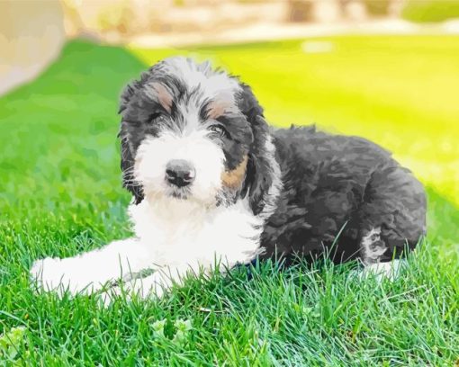 Sheepadoodle Diamond Painting