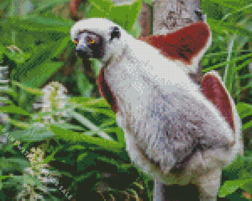 Sifaka Diamond Painting