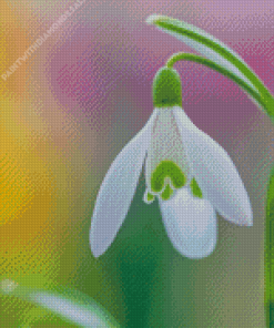 Snowdrops Flower Diamond Painting