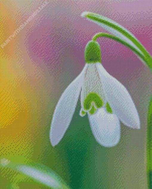 Snowdrops Flower Diamond Painting