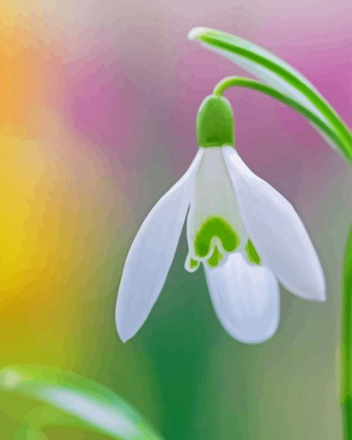 Snowdrops Flower Diamond Painting