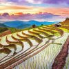 Sunset Over Rice Terraces Diamond Painting