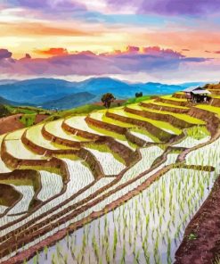 Sunset Over Rice Terraces Diamond Painting