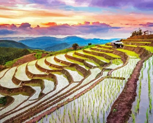 Sunset Over Rice Terraces Diamond Painting