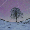 Sycamore Gap Diamond Painting