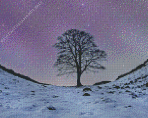 Sycamore Gap Diamond Painting