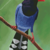 Taiwan Blue Magpie Diamond Painting