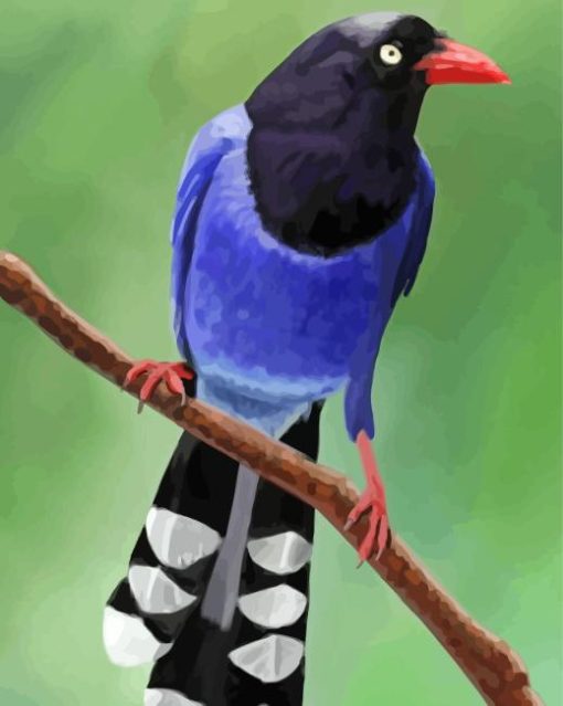 Taiwan Blue Magpie Diamond Painting