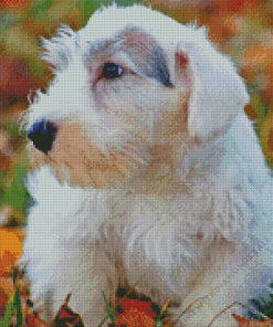 The Sealyham Terrier Diamond Painting