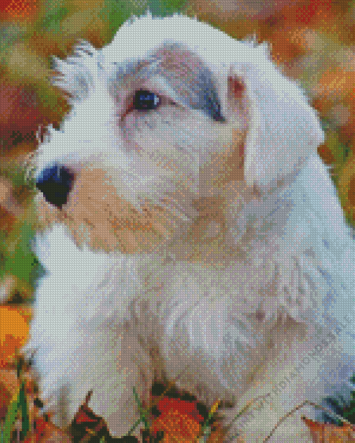 The Sealyham Terrier Diamond Painting