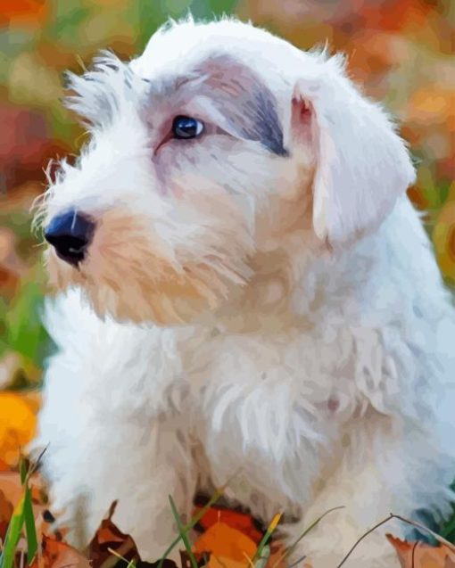 The Sealyham Terrier Diamond Painting