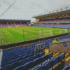 Turf Moor Diamond Painting