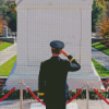 Unknown Soldier Diamond Painting