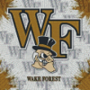 Wake Forest Demon Deacons Diamond Painting