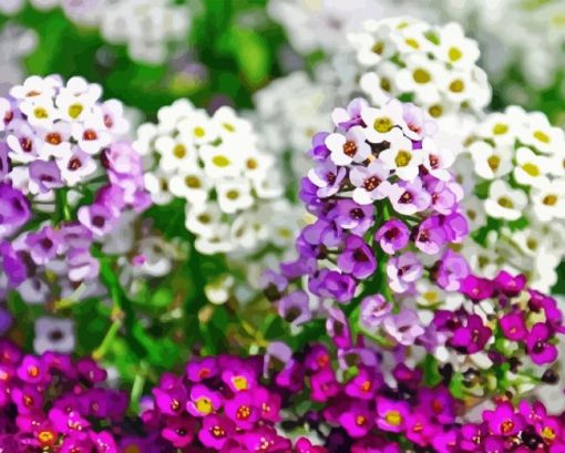 Alyssum Diamond Painting