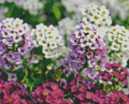 Alyssum Diamond Painting