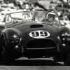 Black And White Cobra Le Mans Cars Diamond Painting