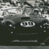 Black And White Cobra Le Mans Cars Diamond Painting