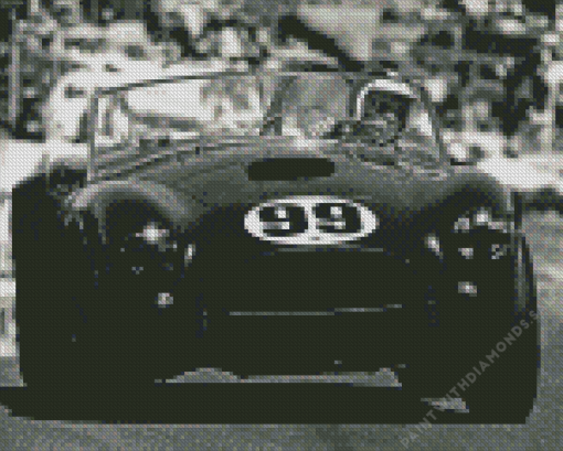 Black And White Cobra Le Mans Cars Diamond Painting