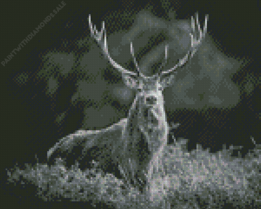 Black And White Elk Diamond Painting