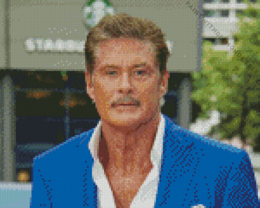 David Hasselhoff Diamond Painting