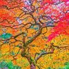 Fall Tree Diamond Painting