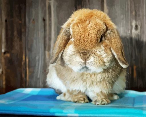 Holland Lop Diamond Painting