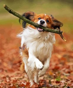 Kooikerhondje Diamond Painting