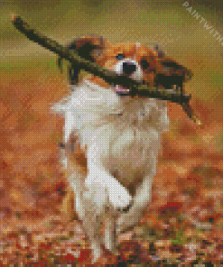 Kooikerhondje Diamond Painting