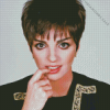 Liza Minnelli Diamond Painting