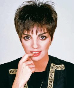 Liza Minnelli Diamond Painting