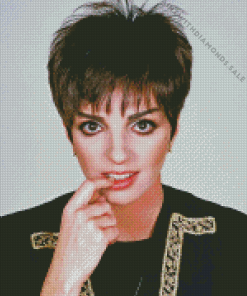 Liza Minnelli Diamond Painting