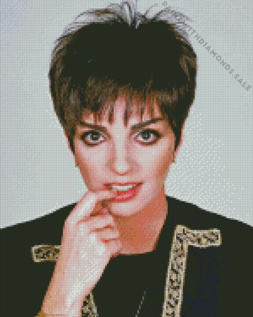 Liza Minnelli Diamond Painting