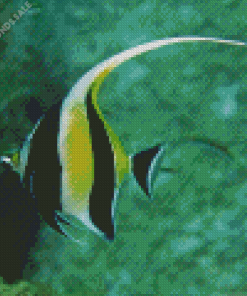 Moorish Idol Diamond Painting