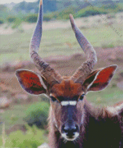 Nyala Diamond Painting