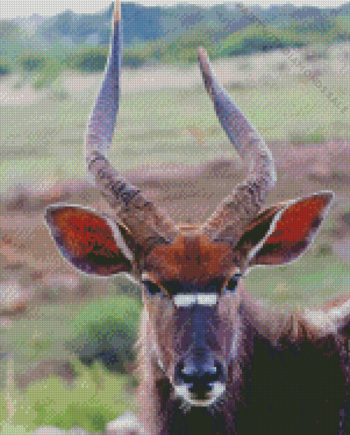 Nyala Diamond Painting